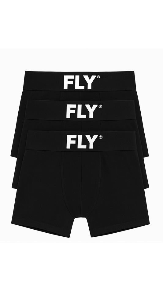 FLY 3 PACK BRIEFS