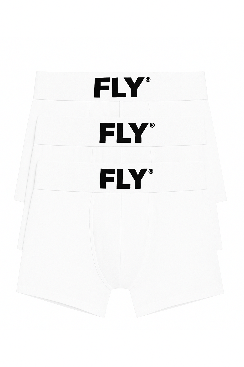 FLY 3 PACK BRIEFS